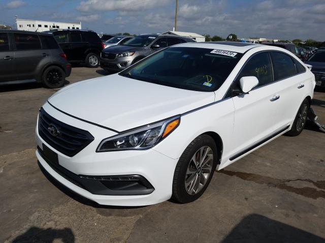 Photo 1 VIN: 5NPE34AF8GH376109 - HYUNDAI SONATA SPO 