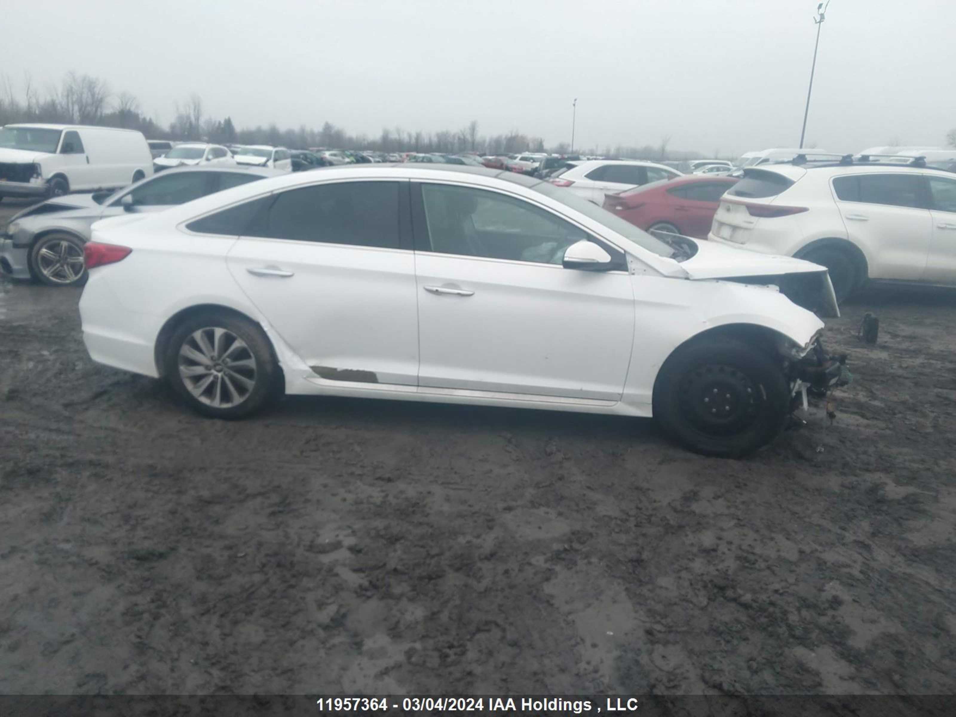 Photo 12 VIN: 5NPE34AF8GH410601 - HYUNDAI SONATA 