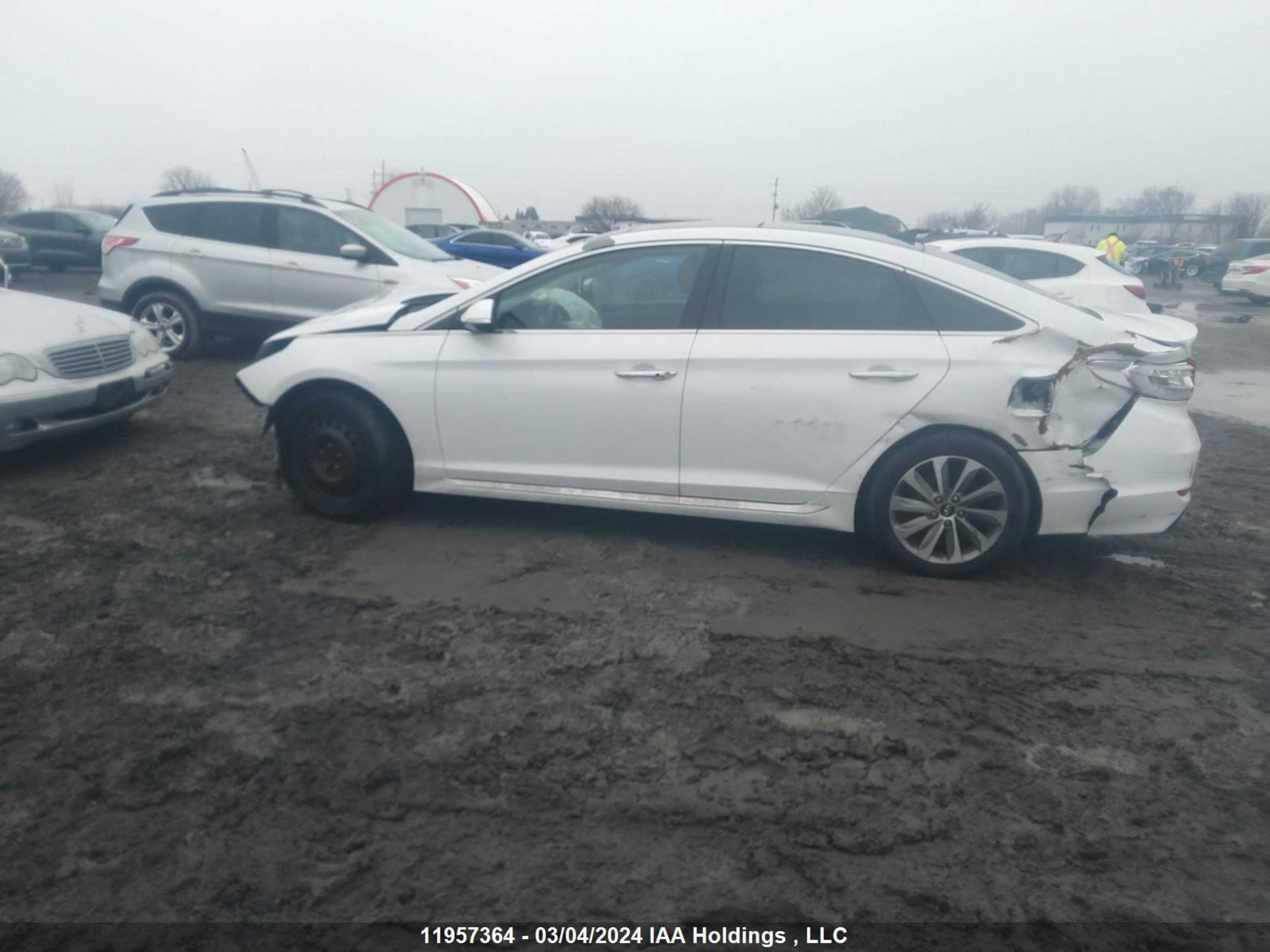 Photo 13 VIN: 5NPE34AF8GH410601 - HYUNDAI SONATA 