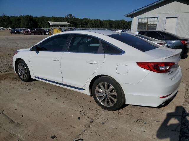 Photo 1 VIN: 5NPE34AF8HH461081 - HYUNDAI SONATA SPO 