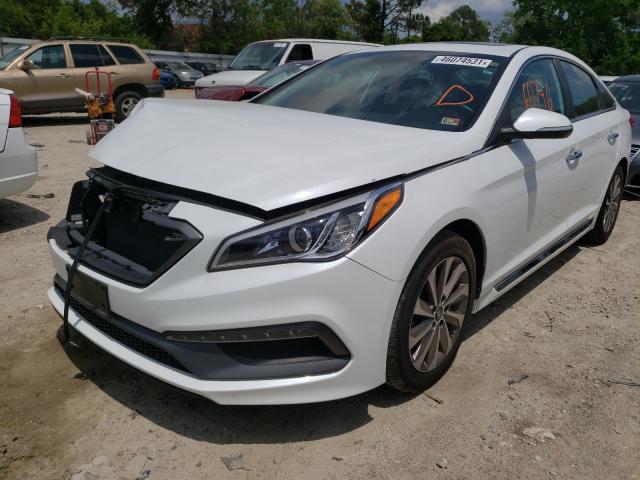 Photo 1 VIN: 5NPE34AF8HH511025 - HYUNDAI SONATA SPO 