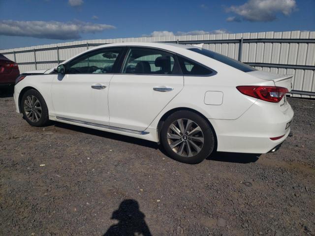 Photo 1 VIN: 5NPE34AF8HH516001 - HYUNDAI SONATA SPO 