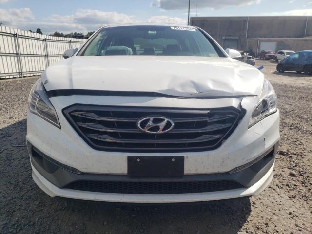 Photo 4 VIN: 5NPE34AF8HH516001 - HYUNDAI SONATA SPO 