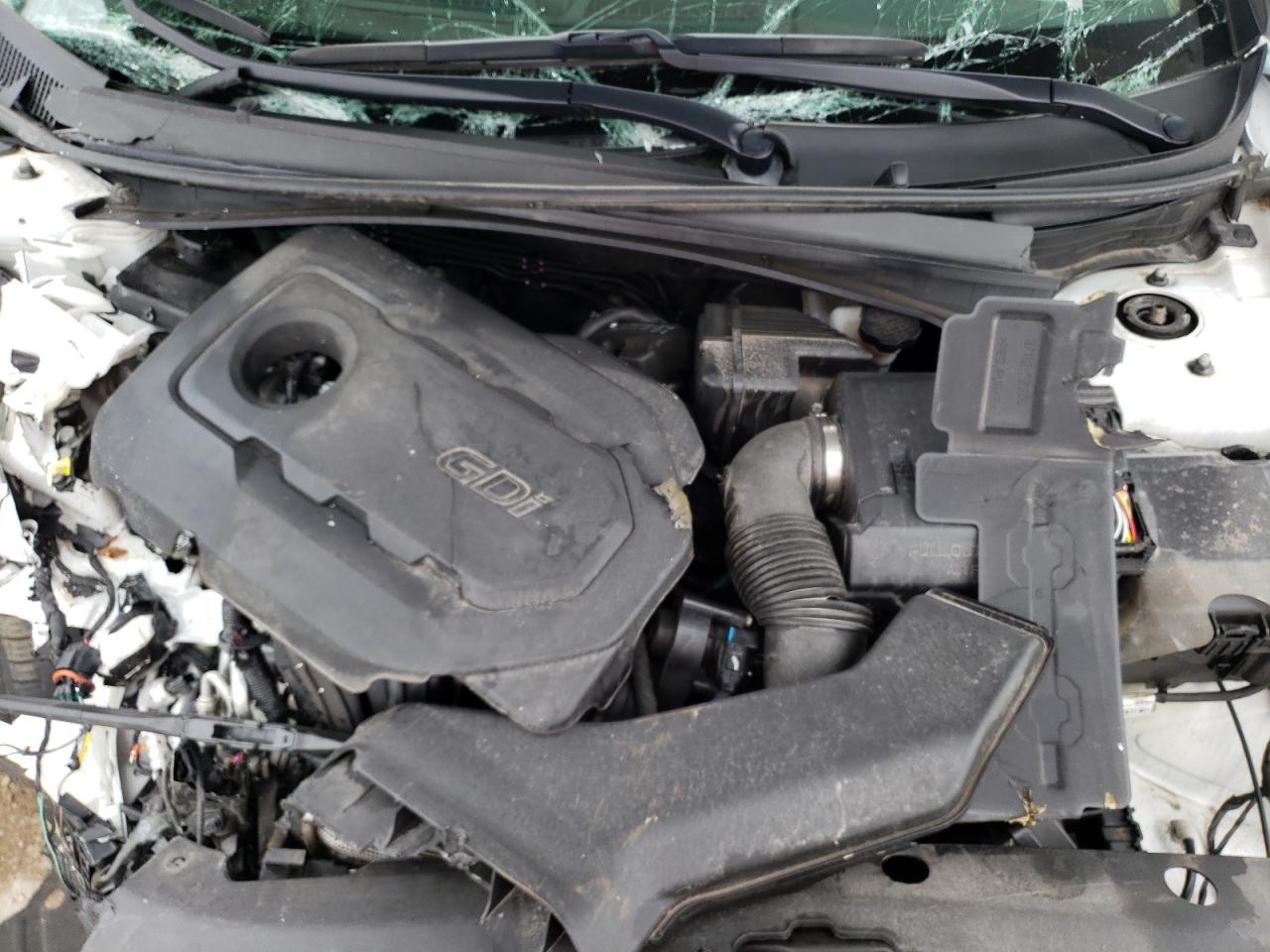 Photo 10 VIN: 5NPE34AF8KH756981 - HYUNDAI SONATA 