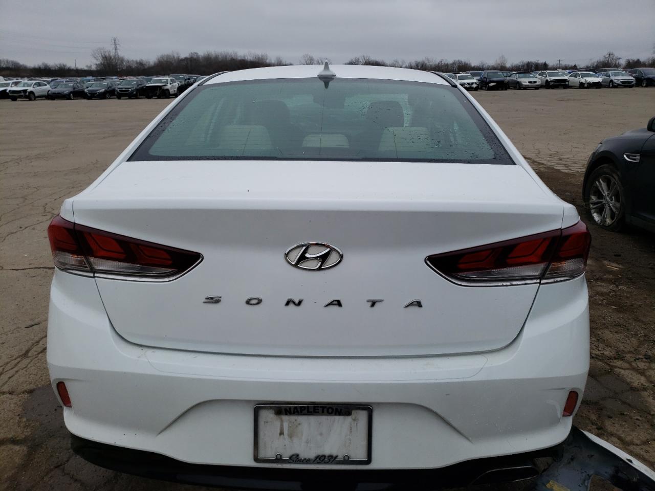 Photo 5 VIN: 5NPE34AF8KH756981 - HYUNDAI SONATA 