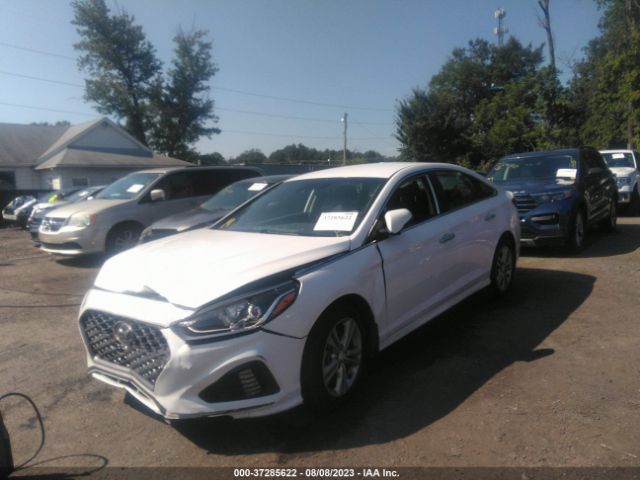 Photo 1 VIN: 5NPE34AF8KH790614 - HYUNDAI SONATA 