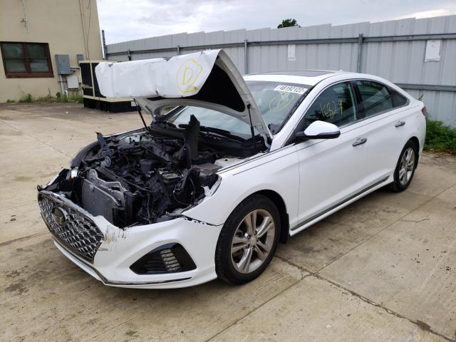 Photo 1 VIN: 5NPE34AF8KH801451 - HYUNDAI SONATA LIM 