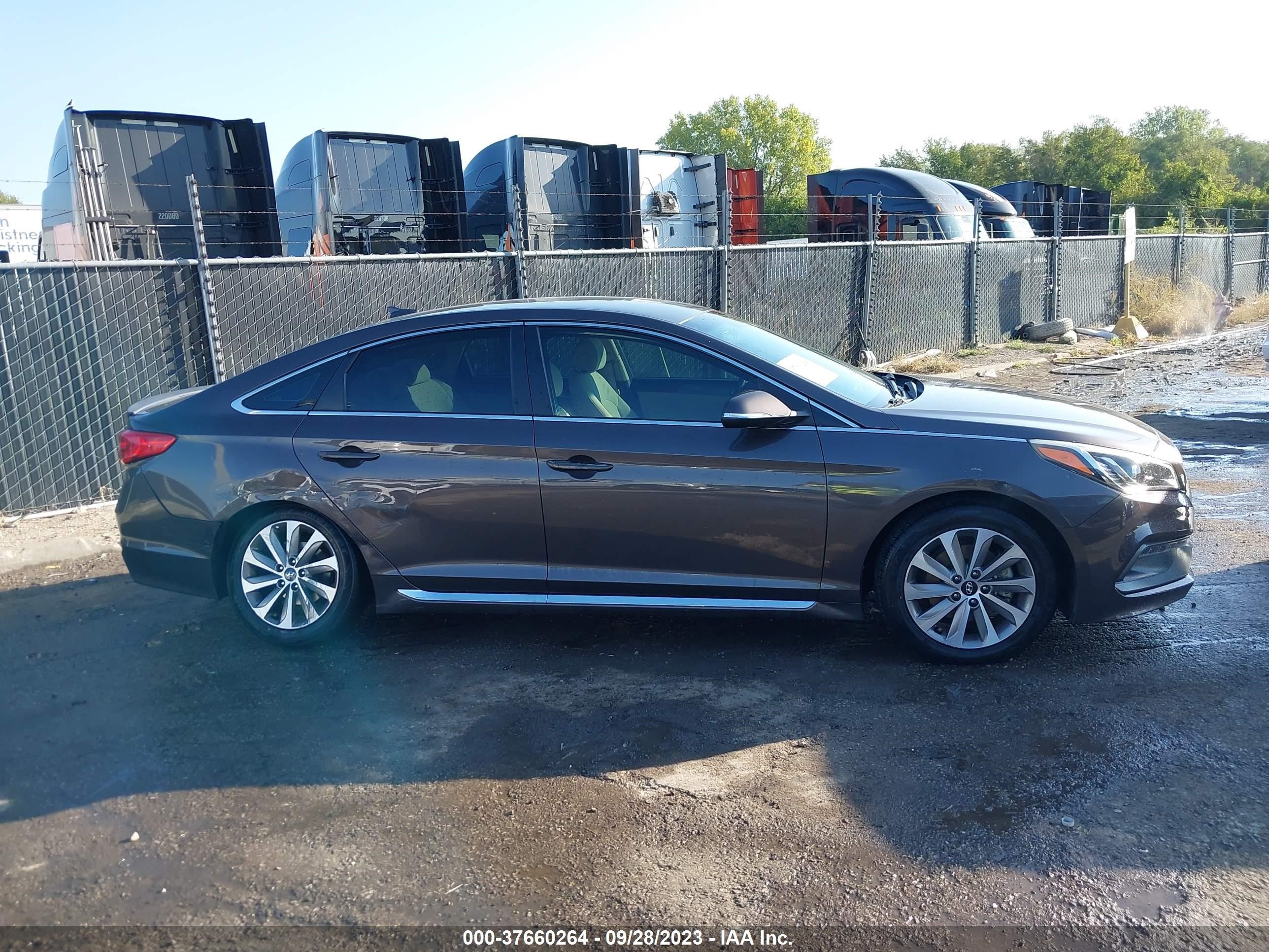 Photo 12 VIN: 5NPE34AF9FH087061 - HYUNDAI SONATA 