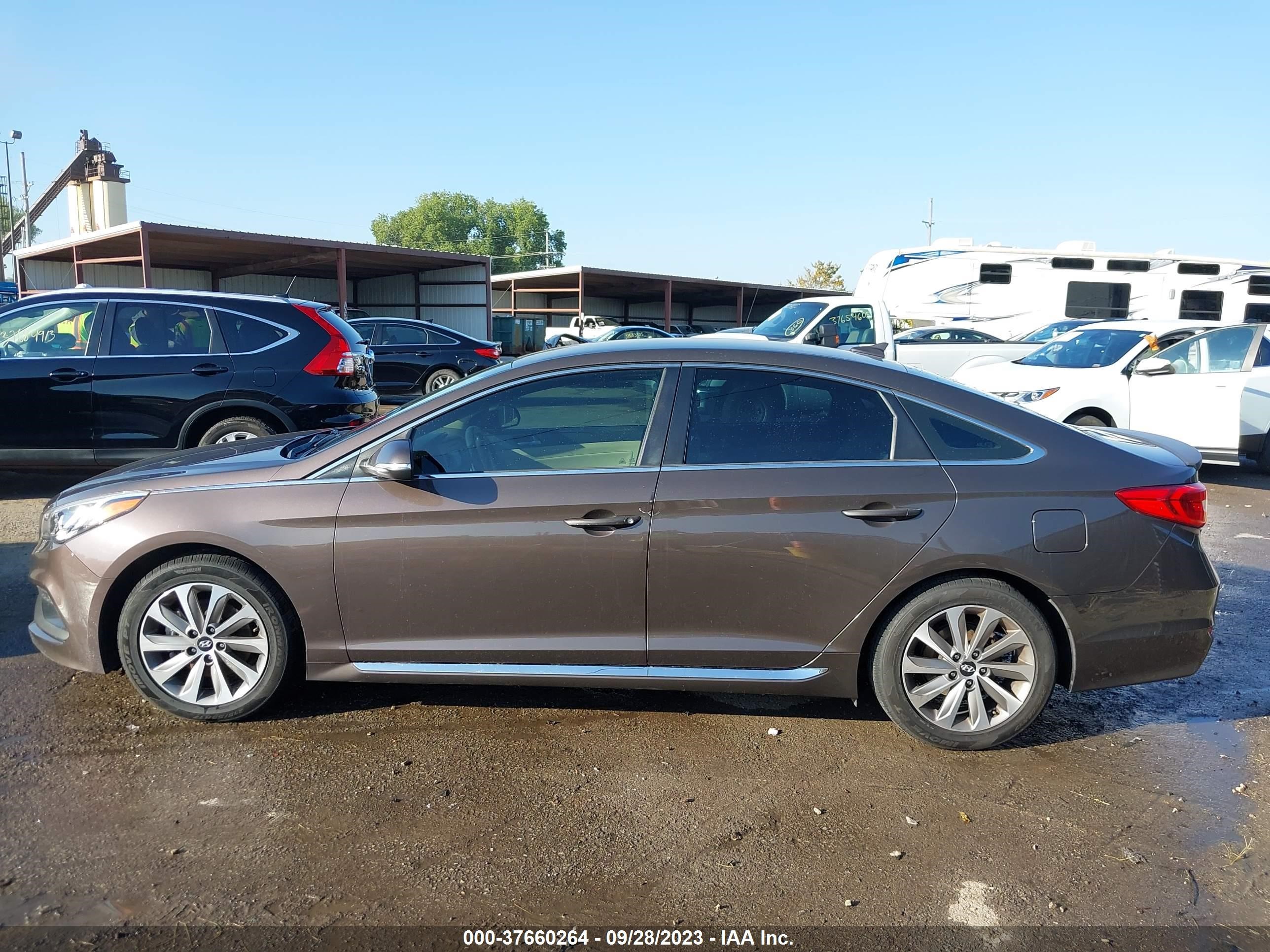 Photo 13 VIN: 5NPE34AF9FH087061 - HYUNDAI SONATA 