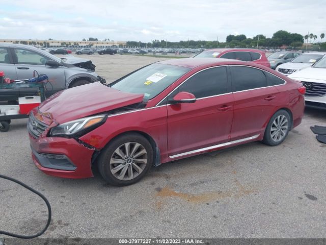 Photo 1 VIN: 5NPE34AF9FH240344 - HYUNDAI SONATA 