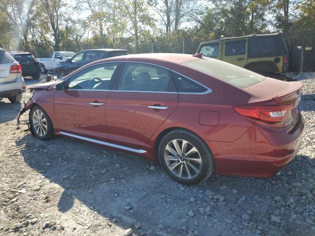 Photo 1 VIN: 5NPE34AF9GH354488 - HYUNDAI SONATA SPO 