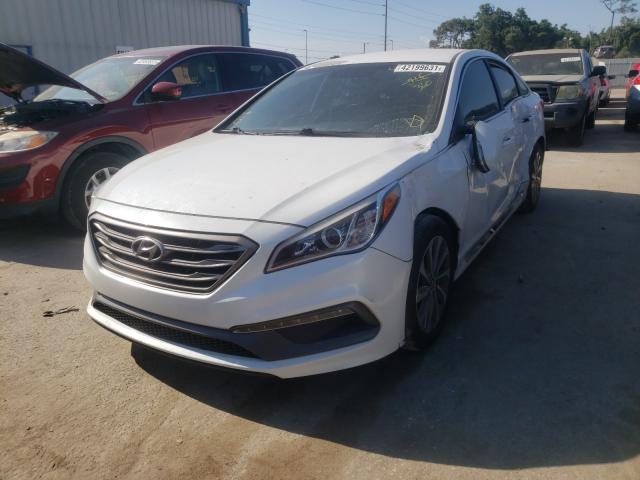 Photo 1 VIN: 5NPE34AF9GH362123 - HYUNDAI SONATA SPO 