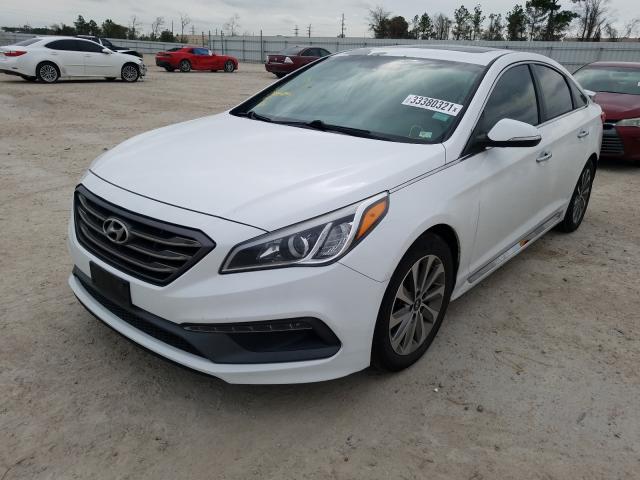 Photo 1 VIN: 5NPE34AF9GH406699 - HYUNDAI SONATA SPO 