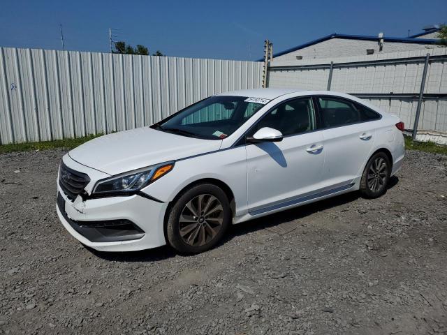 Photo 0 VIN: 5NPE34AF9HH481579 - HYUNDAI SONATA 