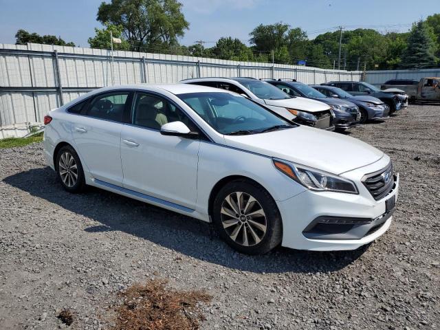 Photo 3 VIN: 5NPE34AF9HH481579 - HYUNDAI SONATA 