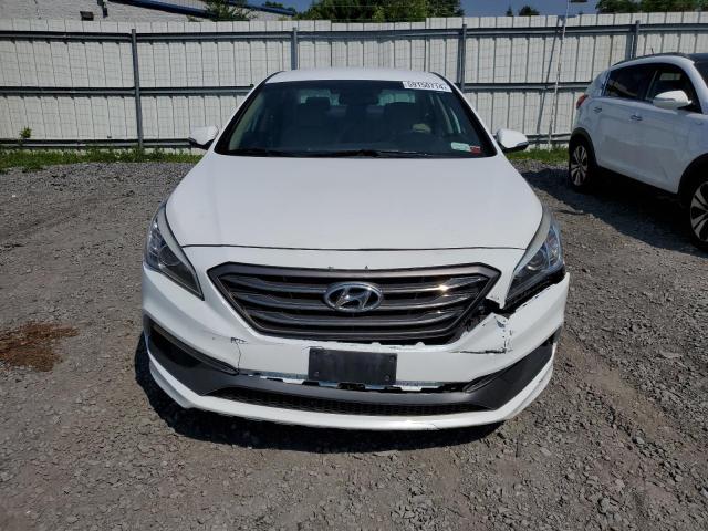 Photo 4 VIN: 5NPE34AF9HH481579 - HYUNDAI SONATA 