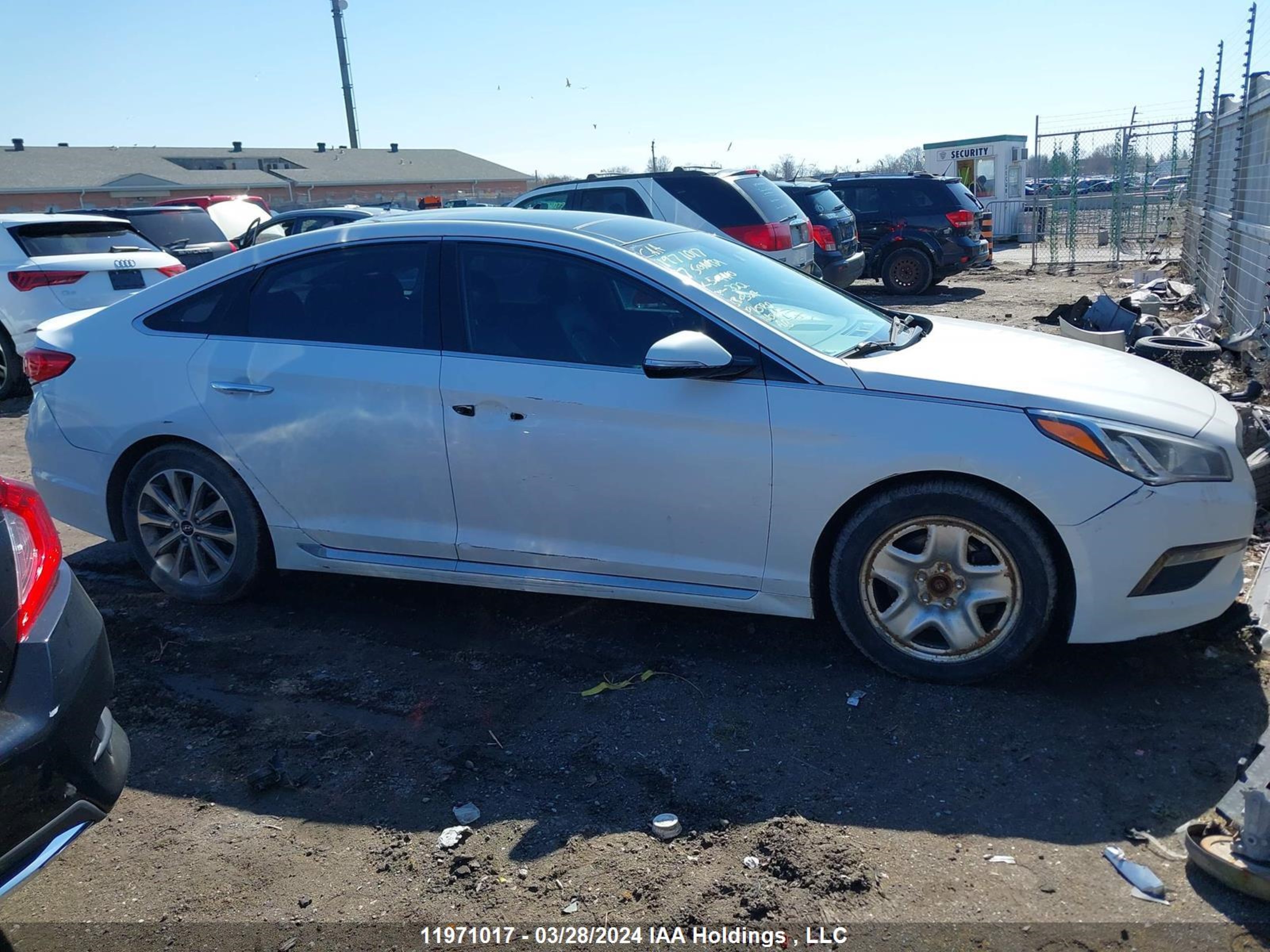 Photo 13 VIN: 5NPE34AF9HH504410 - HYUNDAI SONATA 