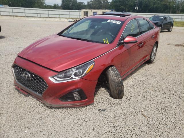 Photo 1 VIN: 5NPE34AF9JH691590 - HYUNDAI SONATA SPO 