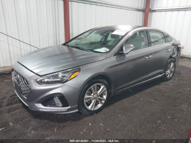 Photo 1 VIN: 5NPE34AF9JH711823 - HYUNDAI SONATA 