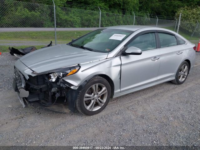 Photo 1 VIN: 5NPE34AF9JH725009 - HYUNDAI SONATA 