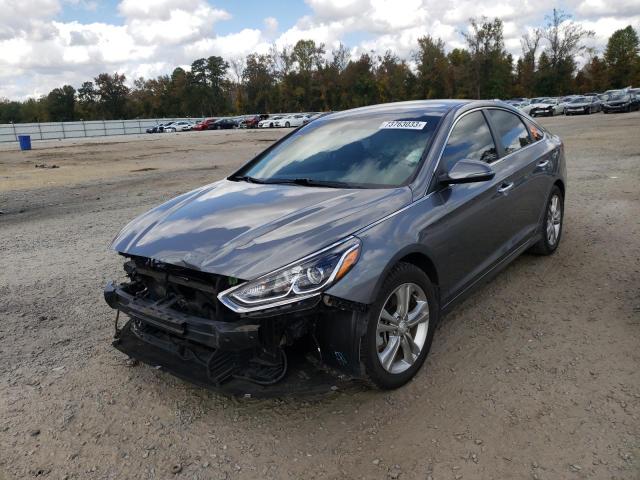 Photo 0 VIN: 5NPE34AF9KH743494 - HYUNDAI SONATA 