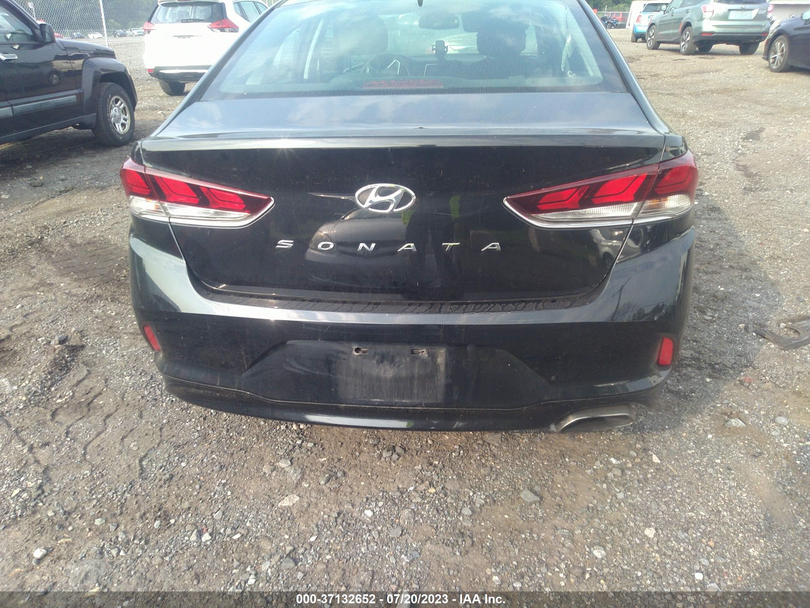 Photo 14 VIN: 5NPE34AF9KH780304 - HYUNDAI SONATA 