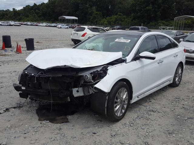 Photo 1 VIN: 5NPE34AFXFH098361 - HYUNDAI SONATA SPO 