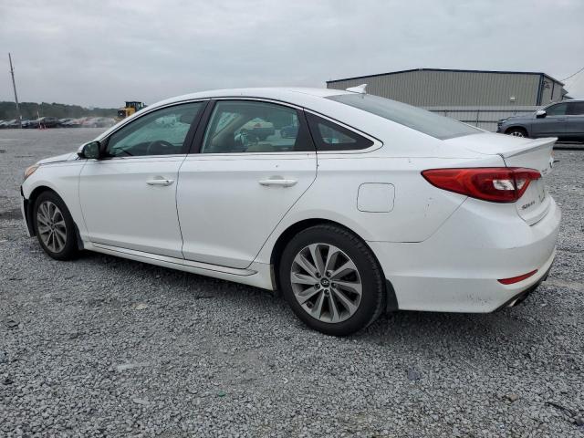 Photo 1 VIN: 5NPE34AFXFH213475 - HYUNDAI SONATA SPO 