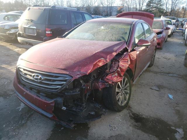 Photo 1 VIN: 5NPE34AFXFH256682 - HYUNDAI SONATA SPO 