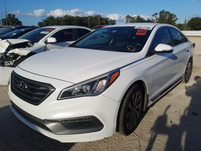 Photo 1 VIN: 5NPE34AFXGH311441 - HYUNDAI SONATA SPO 