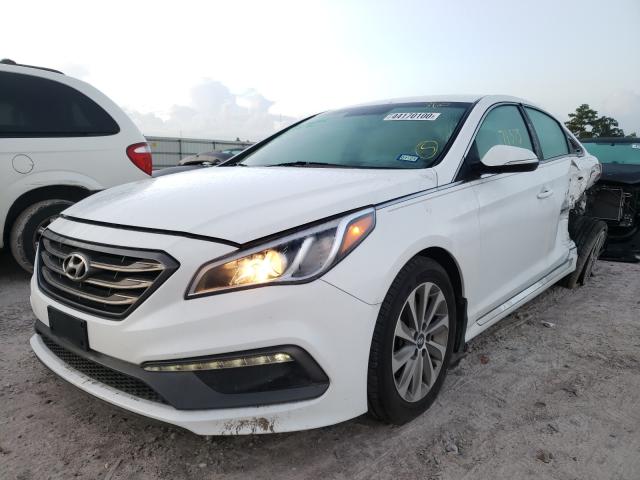 Photo 1 VIN: 5NPE34AFXGH367590 - HYUNDAI SONATA SPO 