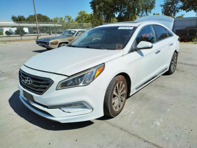 Photo 1 VIN: 5NPE34AFXGH413600 - HYUNDAI SONATA SPO 