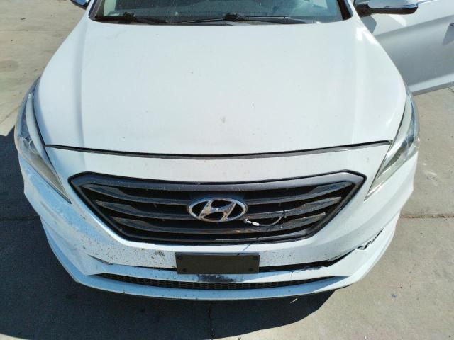 Photo 6 VIN: 5NPE34AFXGH413600 - HYUNDAI SONATA SPO 