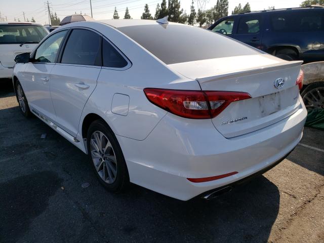 Photo 2 VIN: 5NPE34AFXHH534418 - HYUNDAI SONATA SPO 