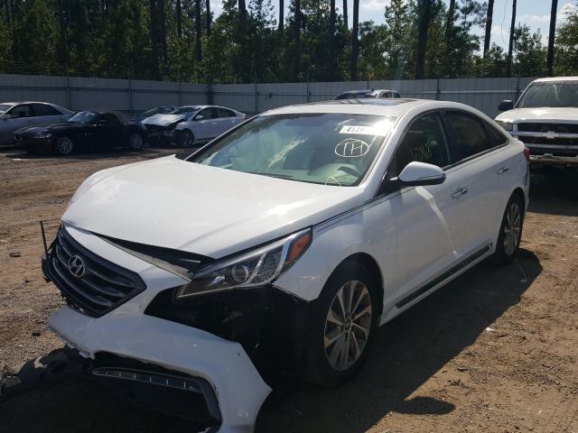 Photo 1 VIN: 5NPE34AFXHH538050 - HYUNDAI SONATA SPO 