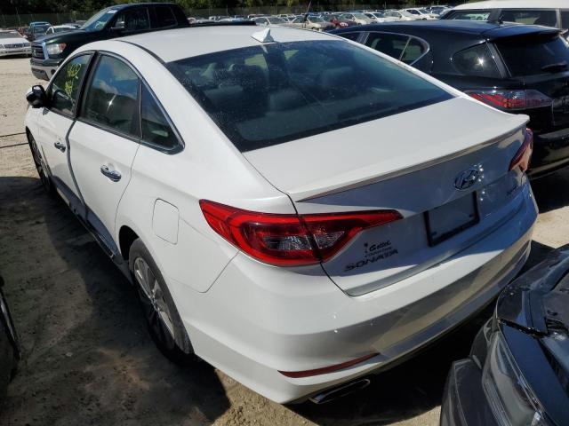 Photo 2 VIN: 5NPE34AFXHH585014 - HYUNDAI SONATA SPO 