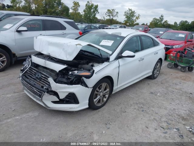 Photo 1 VIN: 5NPE34AFXJH621256 - HYUNDAI SONATA 