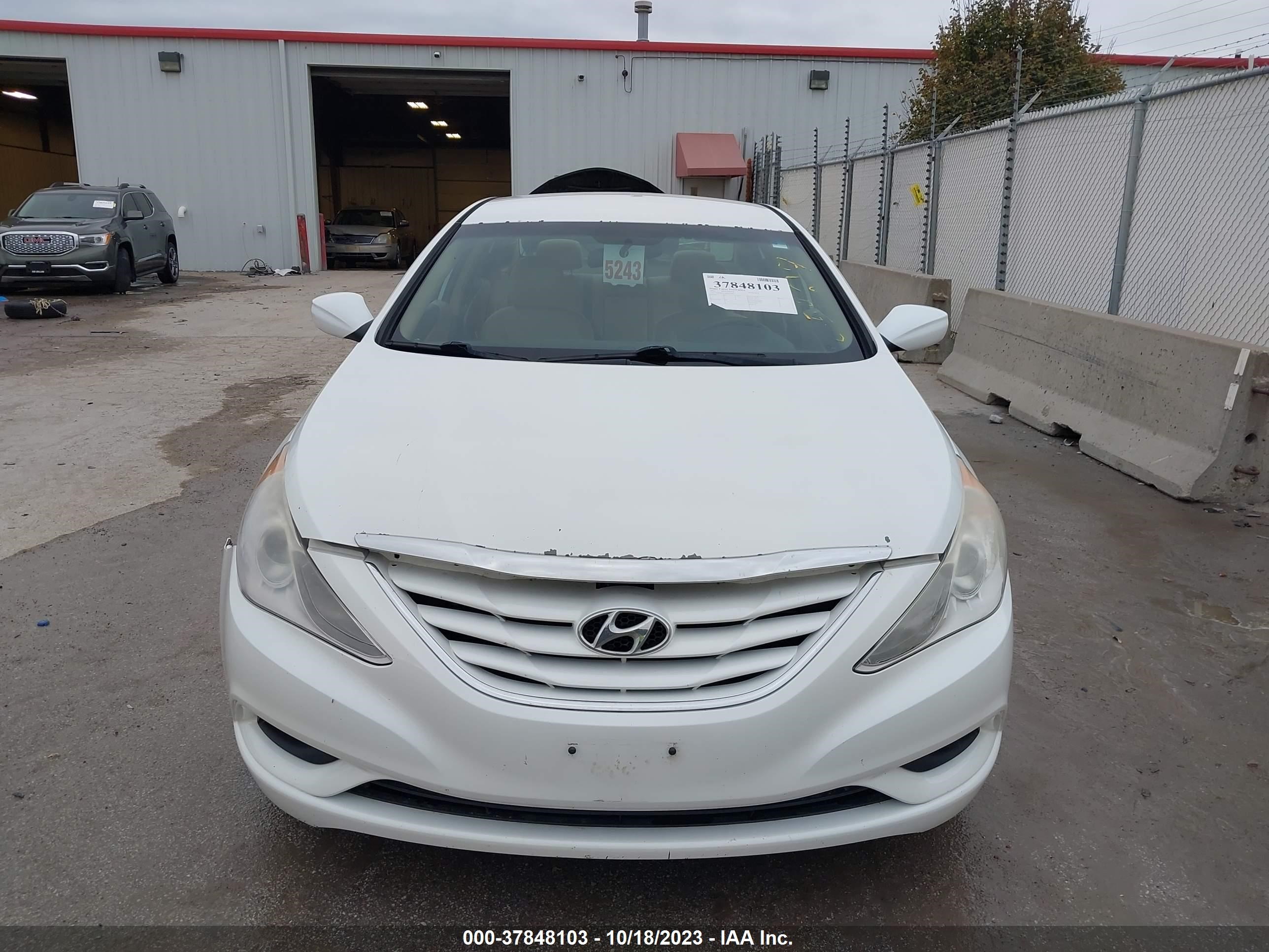 Photo 12 VIN: 5NPEB4AC0BH253891 - HYUNDAI SONATA 