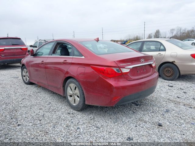 Photo 2 VIN: 5NPEB4AC0EH817317 - HYUNDAI SONATA 