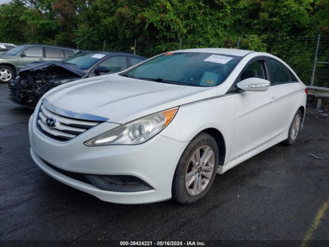 Photo 1 VIN: 5NPEB4AC0EH835316 - HYUNDAI SONATA 