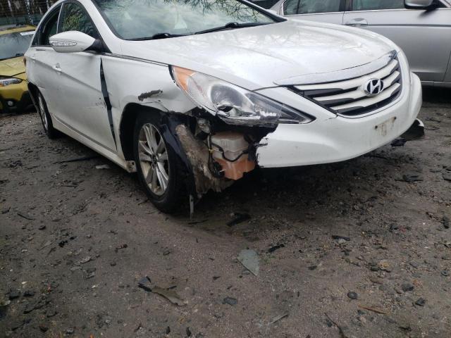 Photo 8 VIN: 5NPEB4AC0EH837714 - HYUNDAI SONATA GLS 