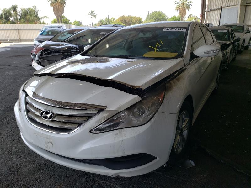 Photo 1 VIN: 5NPEB4AC0EH899016 - HYUNDAI SONATA GLS 