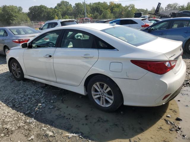 Photo 1 VIN: 5NPEB4AC0EH926392 - HYUNDAI SONATA GLS 