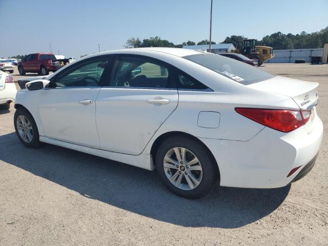 Photo 1 VIN: 5NPEB4AC0EH930202 - HYUNDAI SONATA GLS 