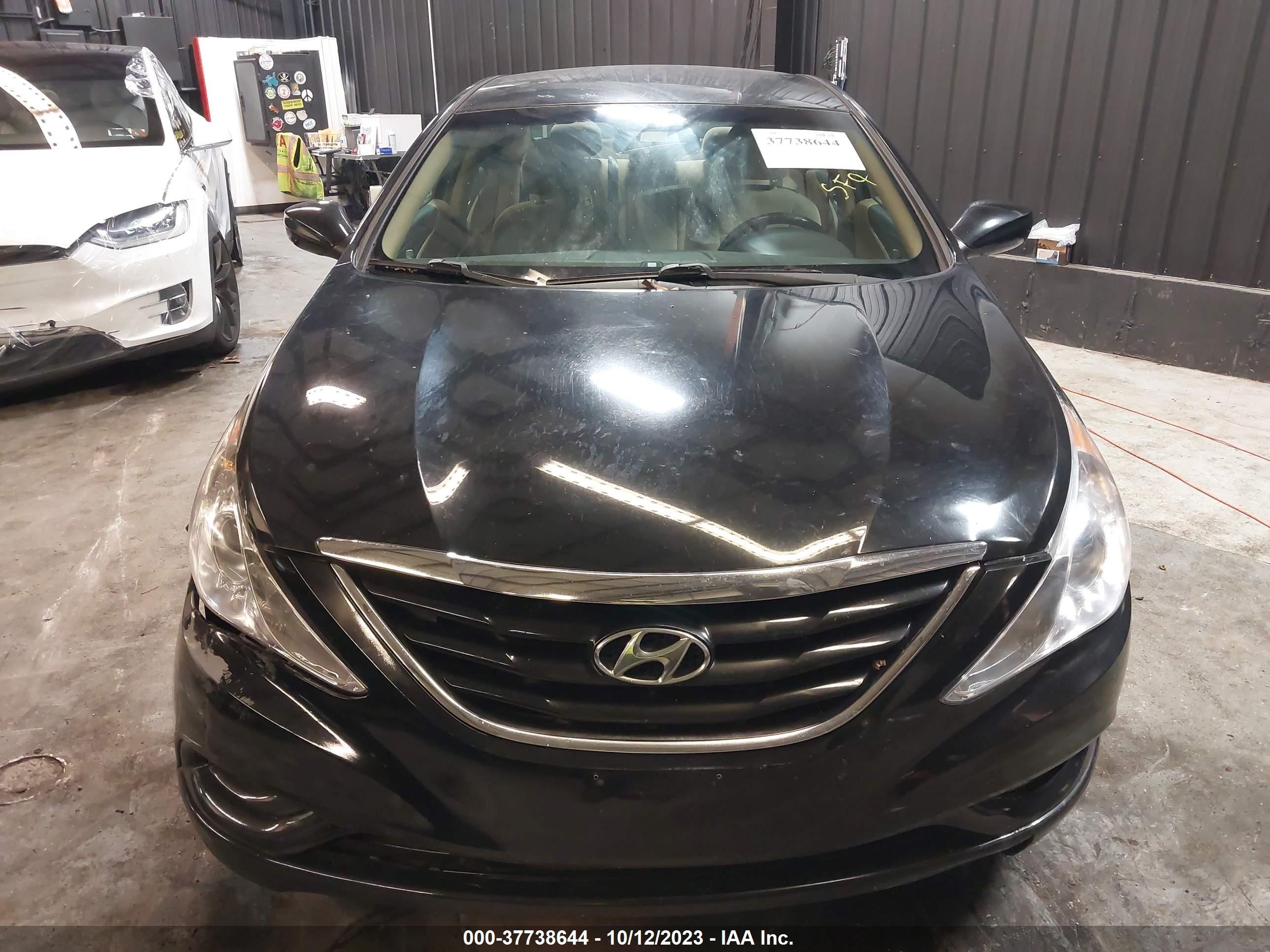 Photo 11 VIN: 5NPEB4AC1DH565902 - HYUNDAI SONATA 