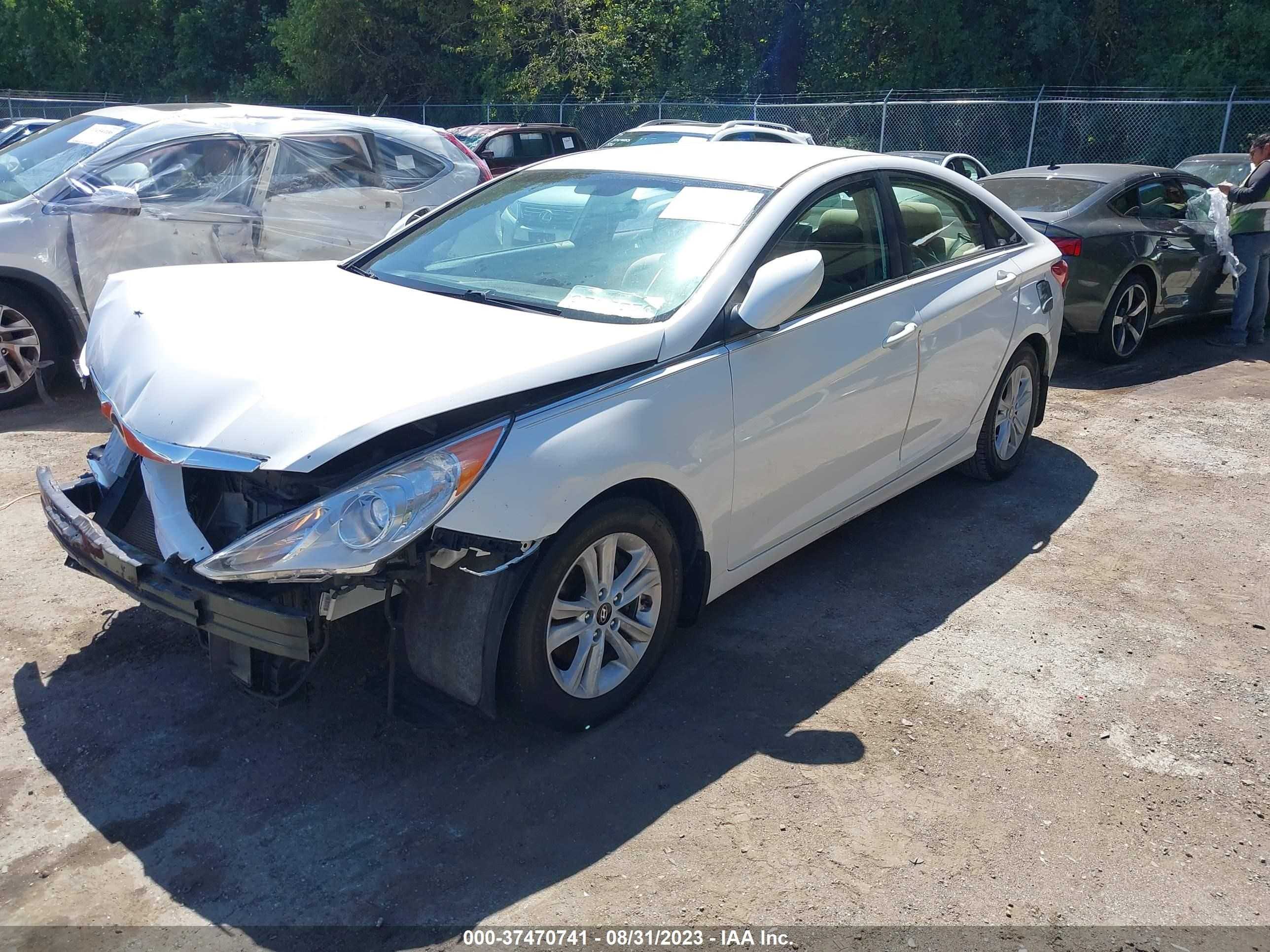 Photo 1 VIN: 5NPEB4AC2DH550597 - HYUNDAI SONATA 