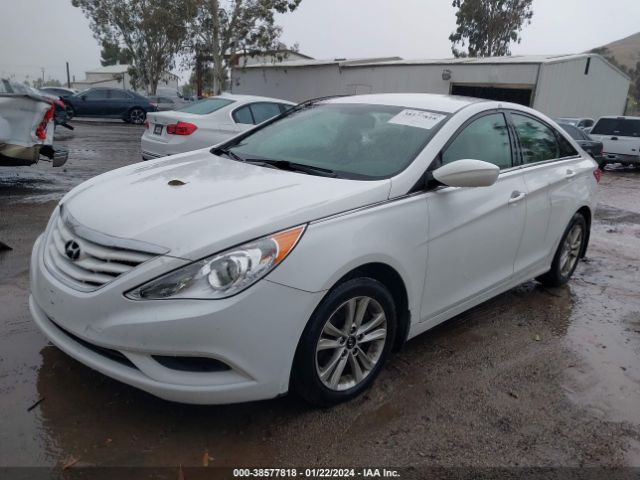 Photo 1 VIN: 5NPEB4AC3DH660851 - HYUNDAI SONATA 