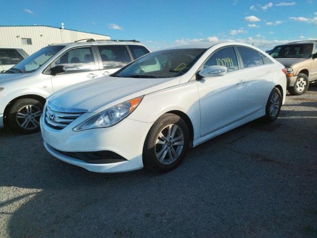 Photo 1 VIN: 5NPEB4AC3EH832345 - HYUNDAI SONATA GLS 