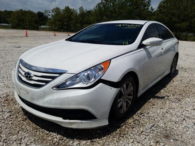 Photo 1 VIN: 5NPEB4AC3EH893680 - HYUNDAI SONATA GLS 