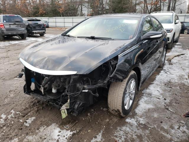 Photo 1 VIN: 5NPEB4AC4EH875818 - HYUNDAI SONATA GLS 